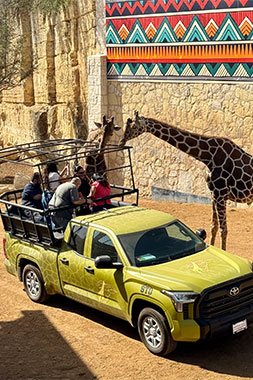 San Antonio Zoo